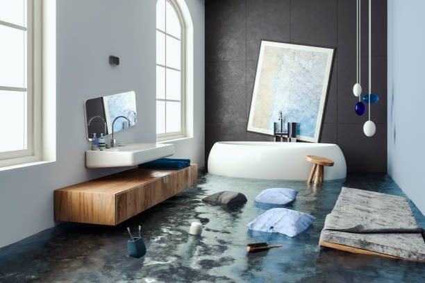 Best Flood restoration services  in Plainville, KS