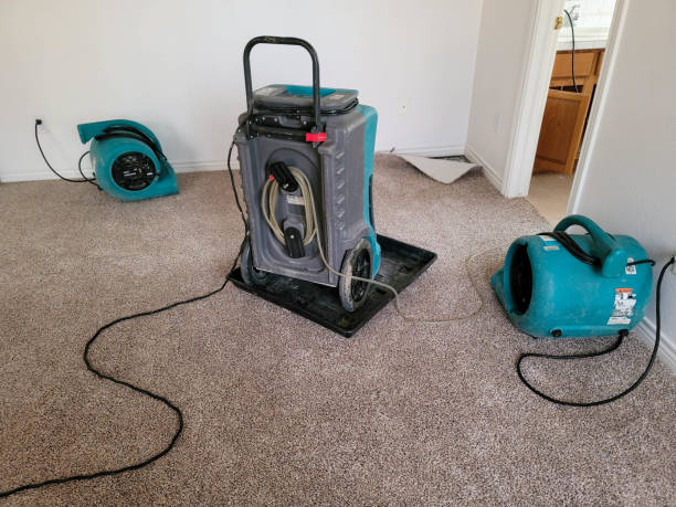 Best Water damage cleanup near me  in Plainville, KS