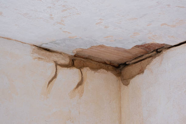 Best Commercial water damage restoration  in Plainville, KS