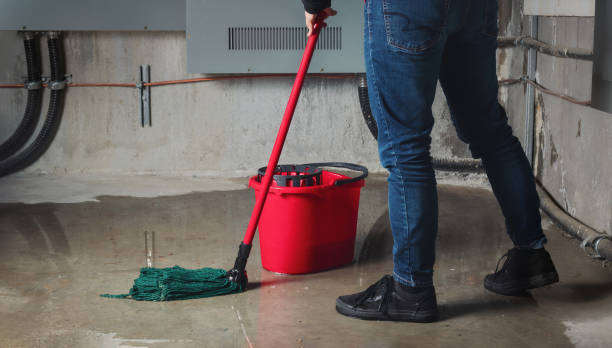 Best Local water damage restoration  in Plainville, KS