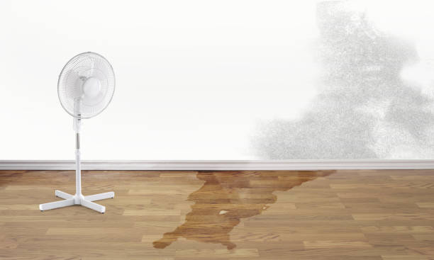 Best Water damage restoration near me  in Plainville, KS