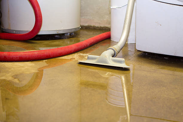 Best Flood restoration services  in Plainville, KS