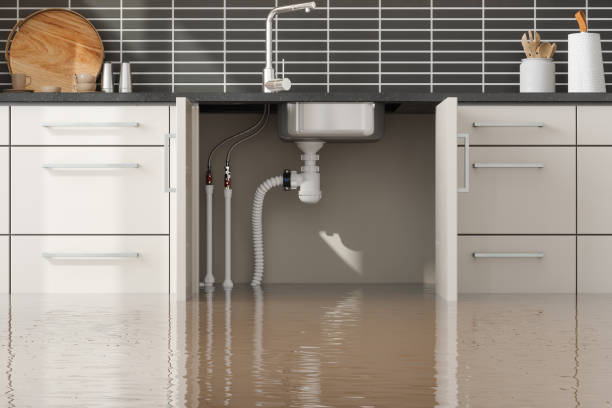 Best Commercial water damage restoration  in Plainville, KS