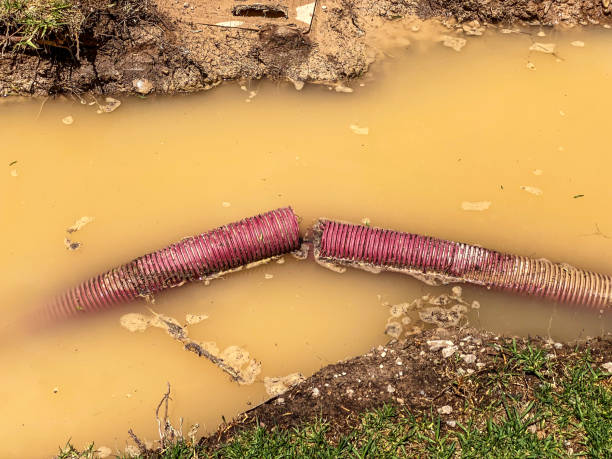 Best 24/7 water damage repair  in Plainville, KS