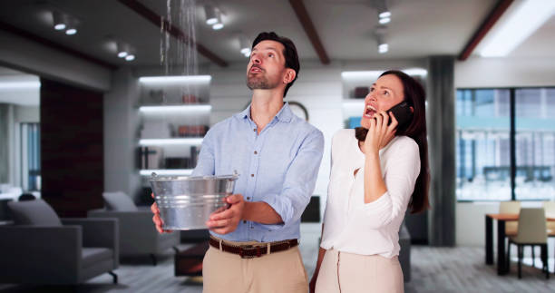 Best 24/7 water damage repair  in Plainville, KS